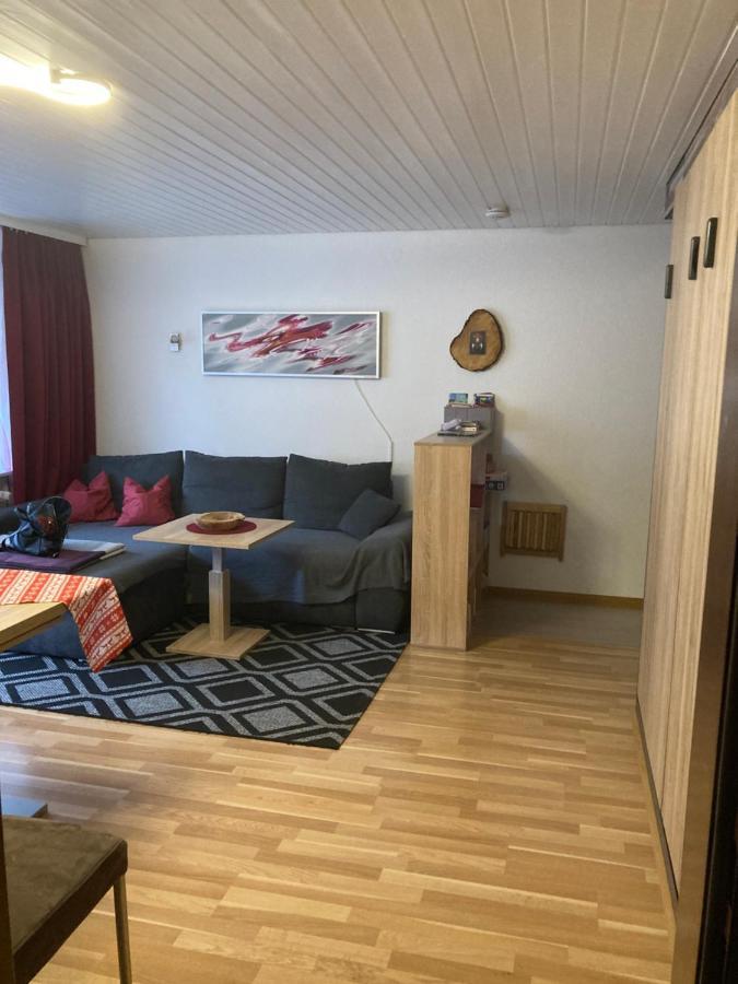 Gemuetliche Ferienwohnung In Sankt Blasien St. Blasien Exterior foto